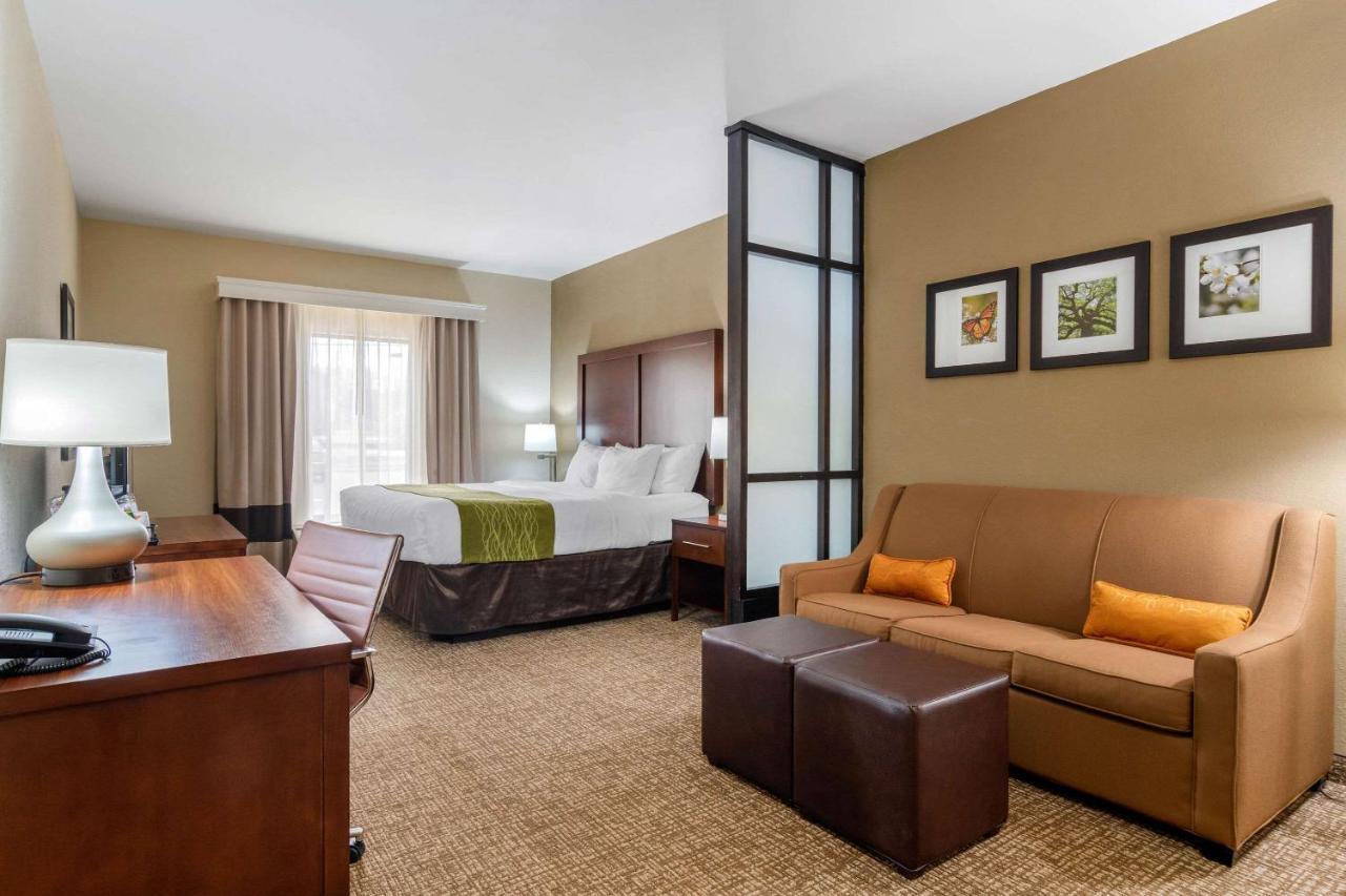 Comfort & Hotel