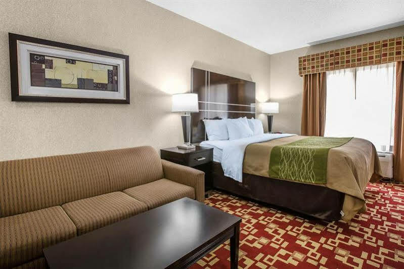 Comfort & Hotel
