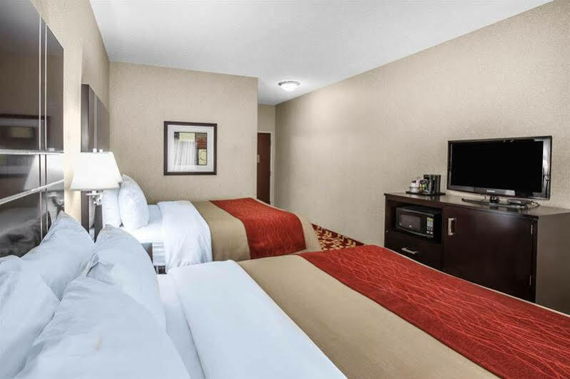 Comfort & Hotel 4*