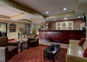 Comfort & Hotel Griffin