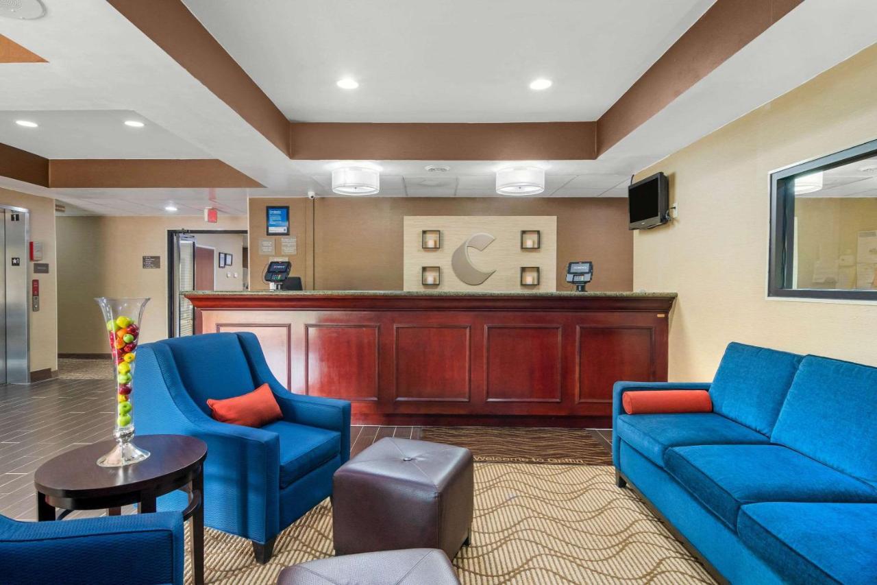 Hotel Comfort & 4*