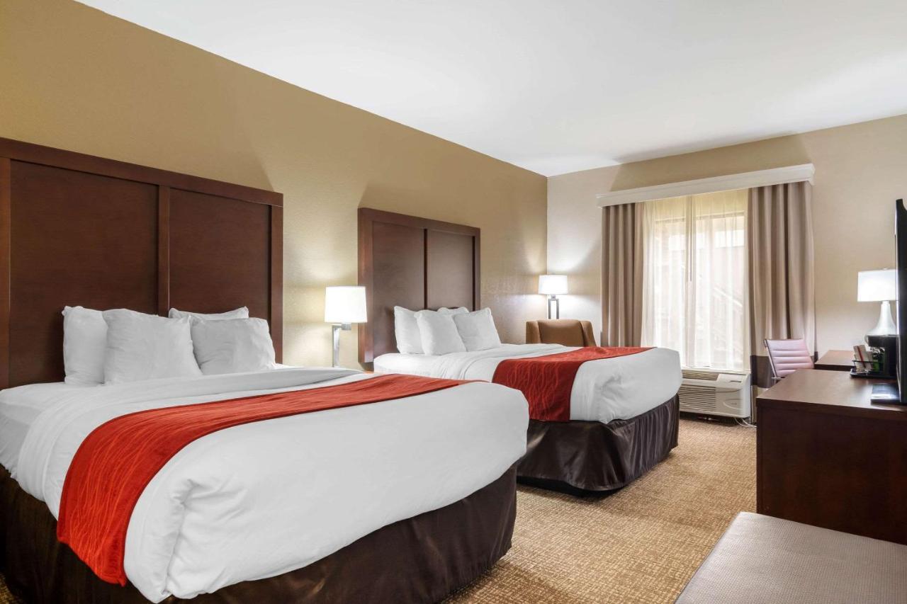 Comfort & Hotel 4*