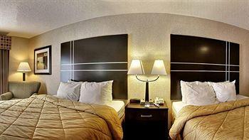 Comfort & Hotel