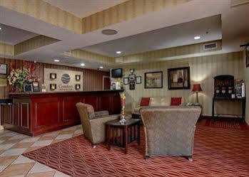 Comfort & Hotel