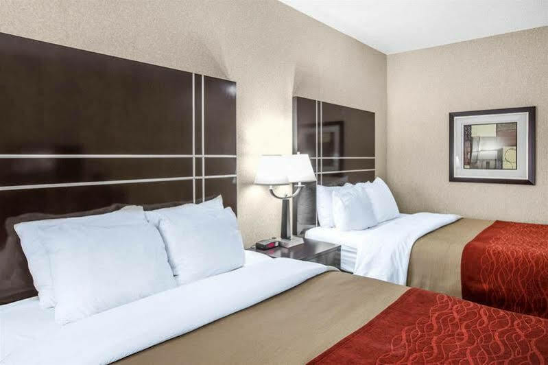 Comfort & Hotel