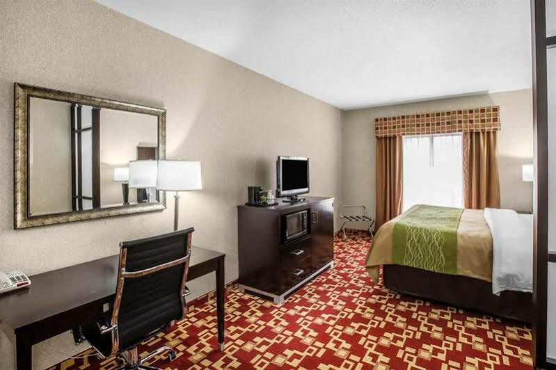 Comfort & Hotel