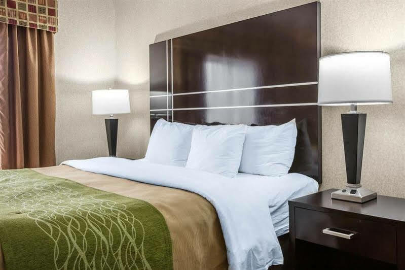 Hotel Comfort & 4*