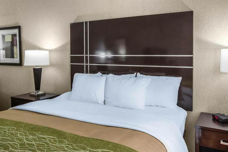 Comfort & Hotel Griffin
