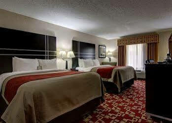 Comfort & Hotel 4*